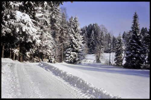 [Möggers, Riedweg im Winter]