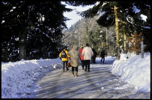 [Lochau, Winterweg Altreute - Hintermoos]