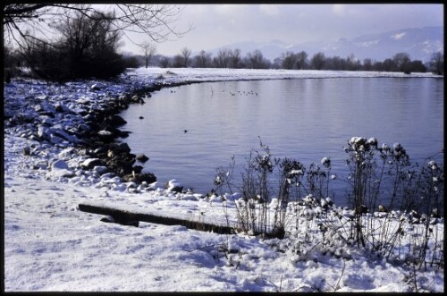 [Hard, Seeufer im Winter]