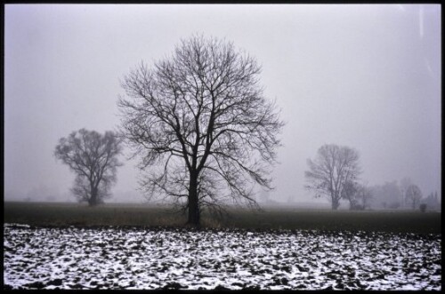 [Gaißau, Ried]