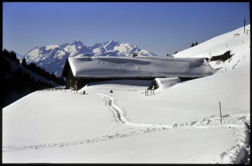 [Dornbirn, Schöner Mann-Alpe]