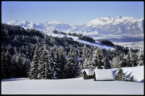 [Zwischenwasser, Madlensalpe]