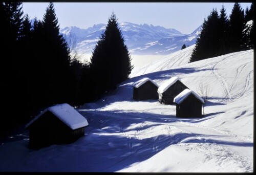 [Fraxern, Winterweg Maisäß-Alpe]