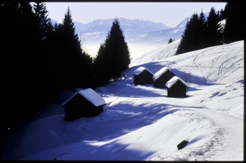 [Fraxern, Winterweg Maisäß-Alpe]