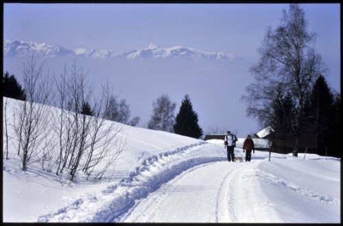 [Übersaxen, Winterweg Gulm]