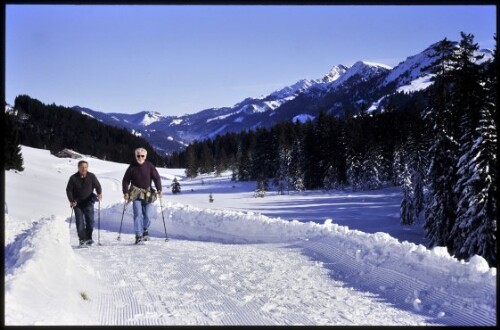 [Oberstaufen zw. Moosalpe u. Glutschwandenalpe]