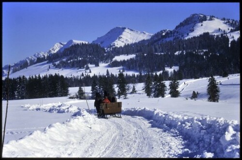 [Riefensberg, Winterweg Moosalpe]