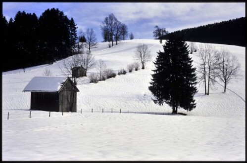 [Alberschwende, Winterweg Gschwend-Fischbach]
