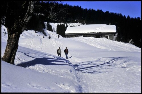 [Schwarzenberg, Winterweg Hochälpelealpe]