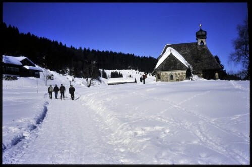 [Schwarzenberg, Winterweg Hochälpelealpe]