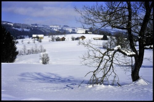 [Krumbach, Winterweg Wüste-Salgenreute]