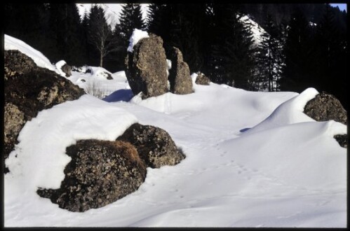 [Hittisau, Bergsturzblock bei Sipperseck]