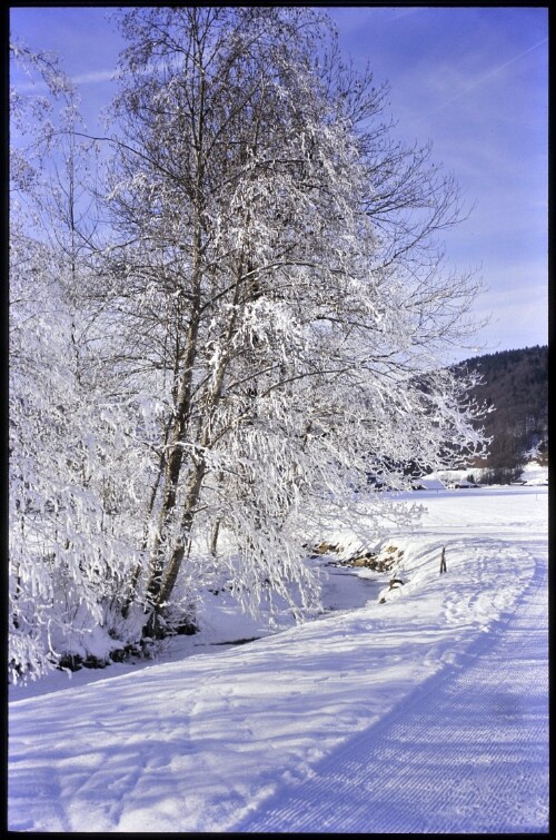 [Bizau, Winterweg am Ulvenbach]