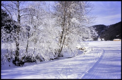 [Bizau, Winterweg am Ulvenbach]