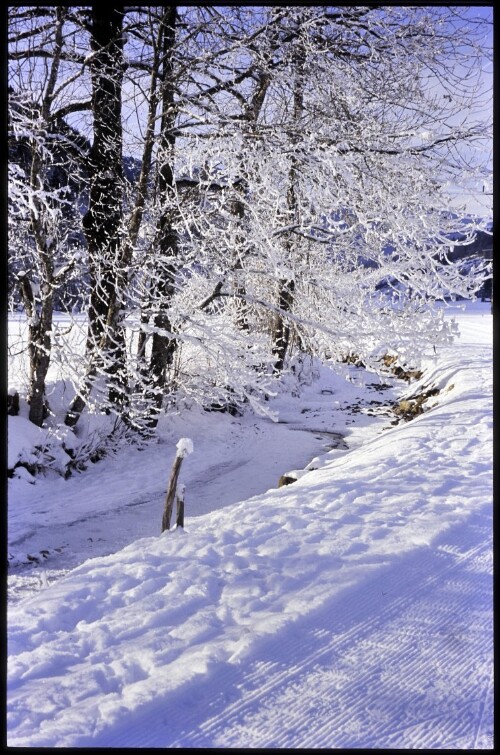 [Bizau, Winterweg am Ulvenbach]