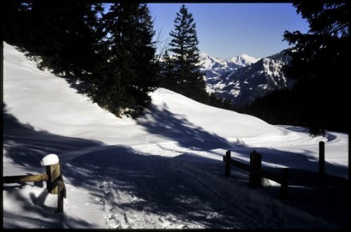 [Nenzing, Winterweg Tschengla-Parpfienz]