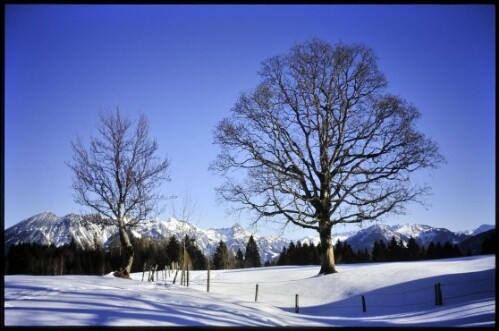 [Bürserberg, Ronaalpe im Winter]