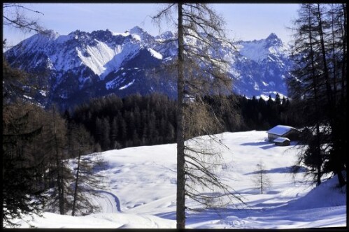 [Bürserberg, Ronaalpe im Winter]