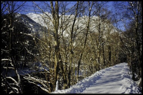 [St. Anton, Illweg b. Kaltenbrunnen]