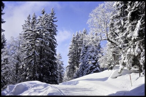 [Bartholomäberg, Winterweg Garsella]