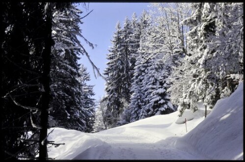 [Bartholomäberg, Winterweg Garsella]