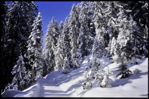 [Bartholomäberg, Winterweg Garsella]