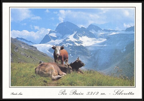 [Gaschurn] Piz Buin 3312 m - Silvretta : [Piz Buin, 3312 m Silvretta - Vorarlberg ...]