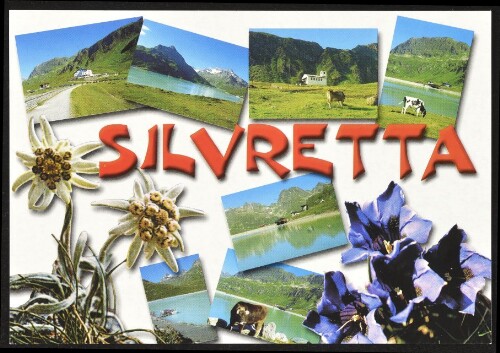 [Gaschurn Partenen] Silvretta : [Sommer - Freizeit - Erlebnis auf der schönen Silvretta im Montafon, Vorarlberg - Austria ...]