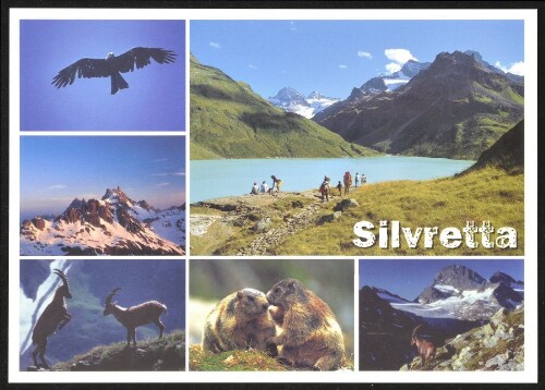 [Gaschurn Partenen] Silvretta : [Steinadler, Litzner Seehörner, Bieler See mit Piz Buin, Steinböcke im Kampf, Murmeltiere, Steinböcke mit Piz Buin, Vorarlberg - Tirol, Österreich ...]