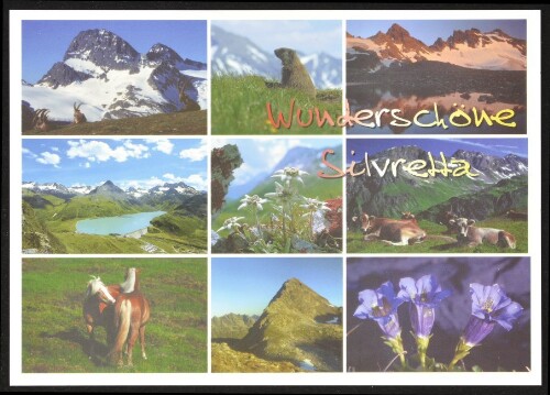 [Gaschurn Partenen] Wunderschöne Silvretta : [Steinböcke, Murmeltier, Litzner Seehörner, Bielersee, Edelweiss, Kühe (Braunvieh), Pferde (Haflinger), Hohes Rad, Großglockiger stengelloser Enzian ...]