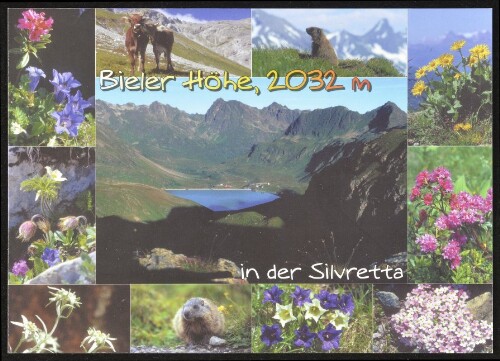 [Gaschurn Partenen] Bieler Höhe, 2032 m in der Silvretta : [Bieler Höhe, 2032 m, in der Silvretta, Scheitelpunkt der Silvretta-Hochalpenstraße mit Bielersee (Speichersee) Tirol-Vorarlberg, Österreich ...]