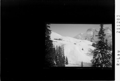 Holzgauerhof 1512 m mit Höllenspitze 2364 m : [Holzgauer Haus bei Lechleiten mit Höllenspitze / Tirol]
