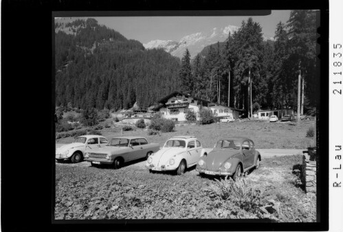 [Waldcafe bei Elbigenalp im Lechtal gegen Pfeiler und Luxnacher Sattel / Tirol]