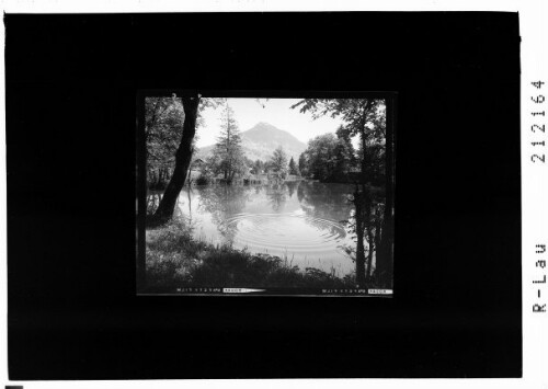 Badeweiher ob Thüringen im Walgau : [Thüringer Weiher mit Blick zum Hohen Frassen]