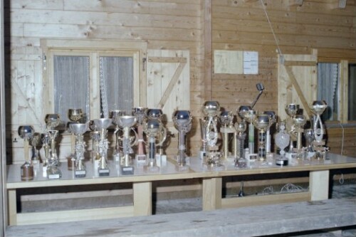 Berufsschulskimeisterschaft in Bizau