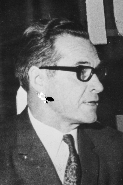 Nationalratsabgeordneter Rudolf Hämmerle