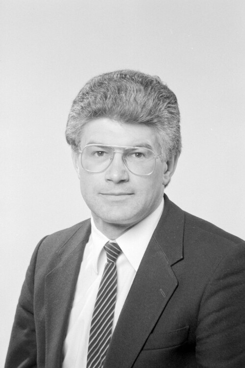 Dr. Reinhold Schwarz, Landtag