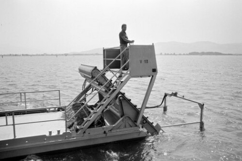 Seekuh, Tangmähschiff
