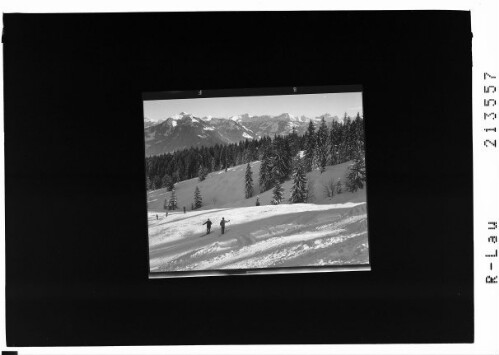 [Skigebiet am Bödele / Hinterer Lank gegen Winterstaude - Hoher Ifen - Diedamskopf - Widderstein]