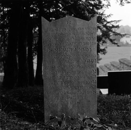 Grabsteine, Jüdischer Friedhof Hohenems