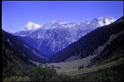 [Klösterle, Nenzigastalpe ]