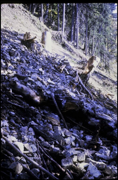 [Innerbraz, Rutschung Hintergasse-Schrofen]