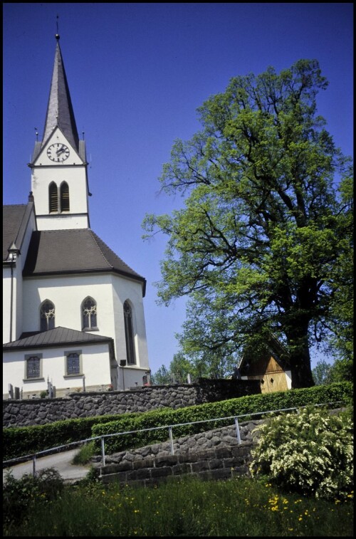 [Egg, Linde bei Pfarrkirche]