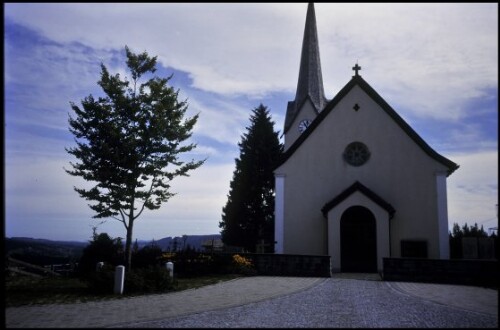 [Buch, junge Buche auf Kirchplatz]