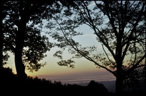 [Bregenz, Abendstimmung]