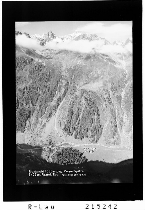 Trenkwald 1510 m gegen Kaunergrat mit Verpeilspitze 3425 m Pitztal / Tirol