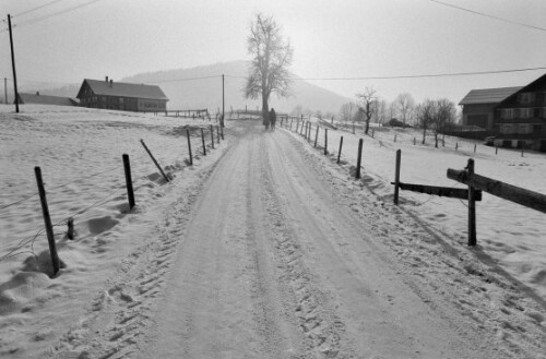 [Hittisau, winterliche Landschaftsbilder]