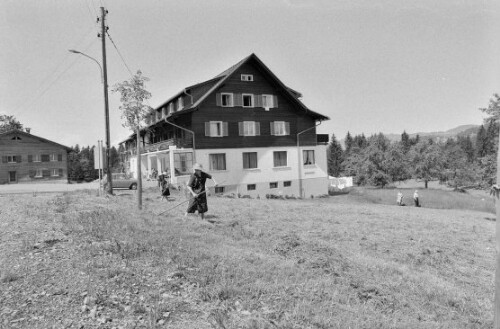 [Vorderwald, Landwirtschaft, Heuernte]