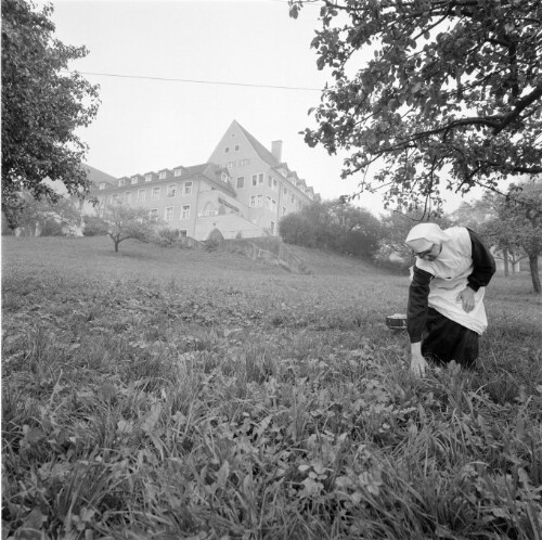 [Hohenweiler Gwiggen, Kloster Mariastern]