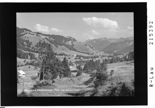 Schattwald, Tannheimertal / Tirol : [Schattwald im Tannheimertal gegen Krinnenspitze und Vogelhorn]